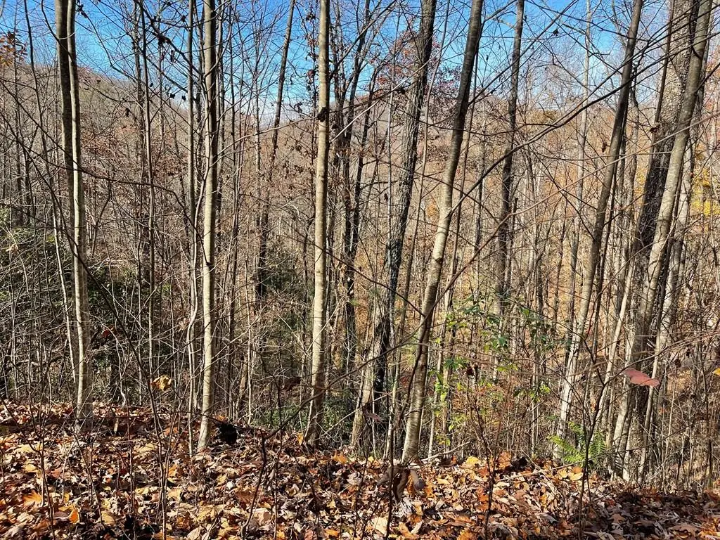 Lot 49J Indian Trail, Hayesville, NC 28904 - Image #1