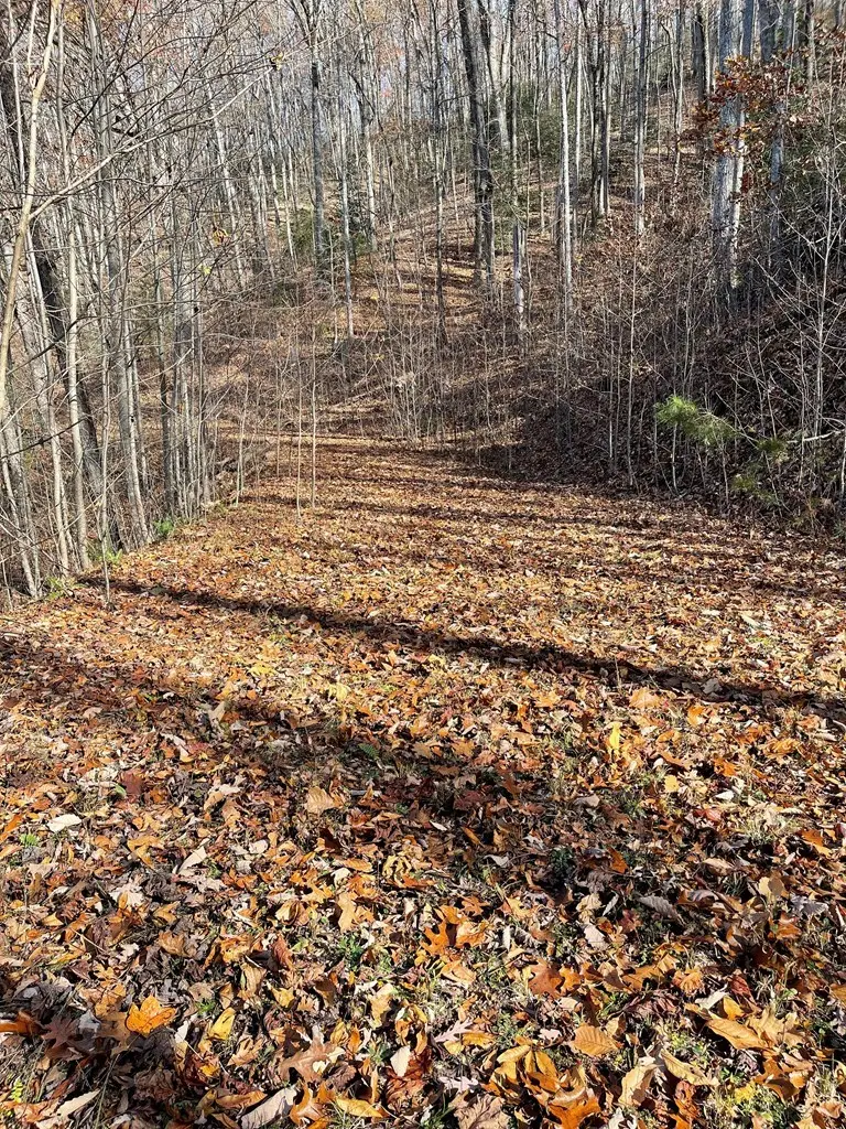 Lot 49J Indian Trail, Hayesville, NC 28904 - Image #3