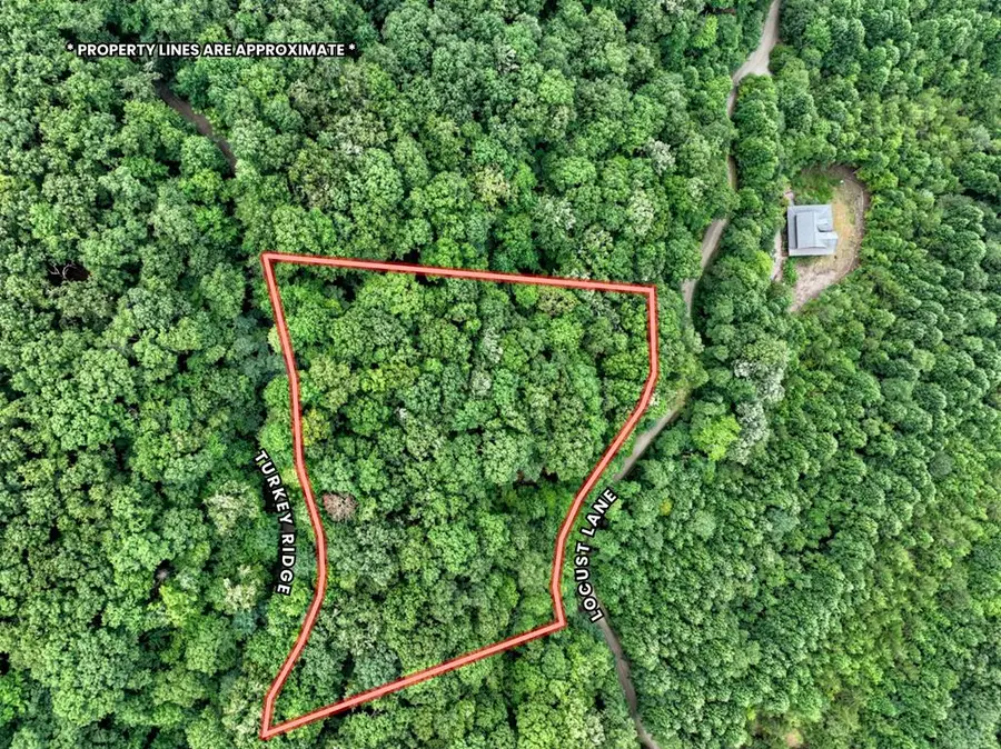 LOT 20 Locust Lane, Morganton, GA 30560 - Image #2