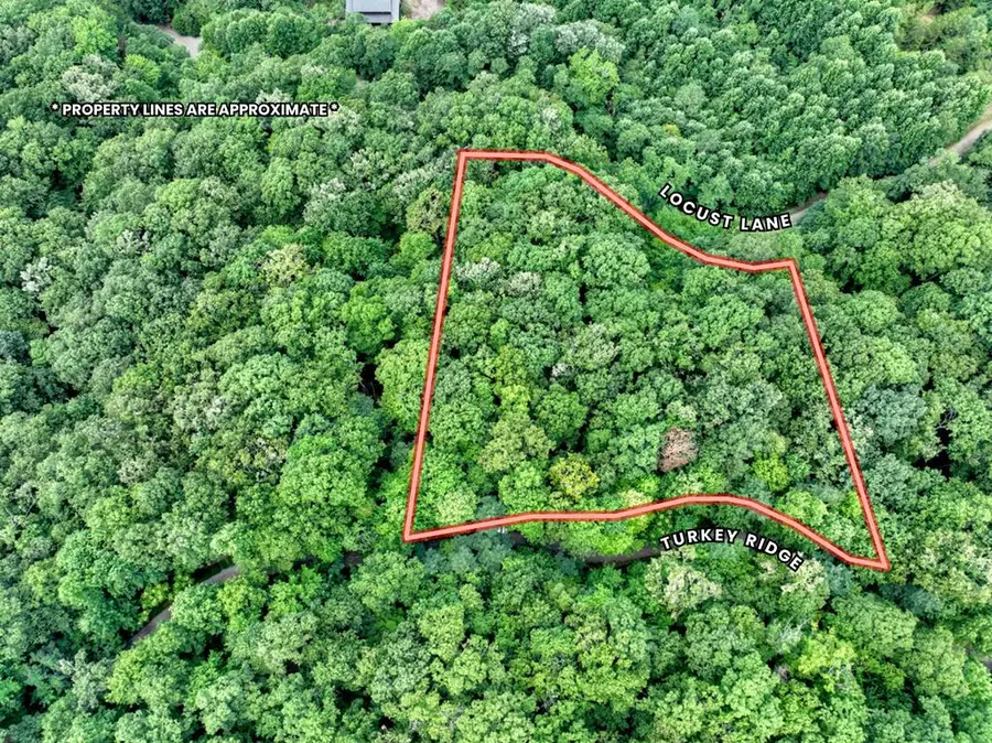 LOT 20 Locust Lane, Morganton, GA 30560 - Image #3