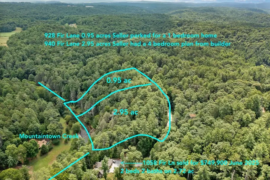 928 Fir Lane, Ellijay, GA 30540 - #3