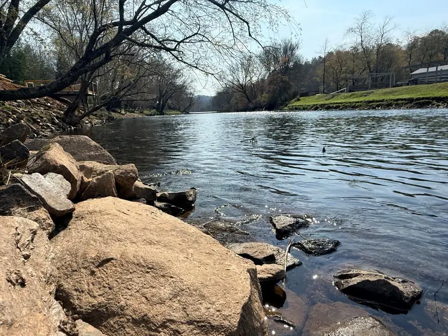 16 Toccoa Ridge Road, Mineral Bluff, GA 30559 - #2