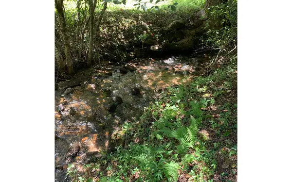 LOT20 Bryant Cove Road, Blairsville, GA 30512