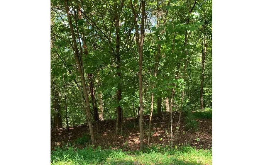 LOT20 Bryant Cove Road, Blairsville, GA 30512 - Image #2