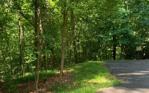 LOT21 Bryant Cove Road, Blairsville, GA 30512