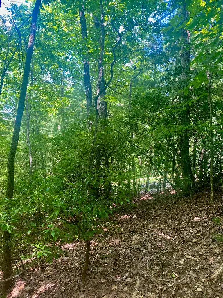 LOT22 Bryant Cove Road, Blairsville, GA 30512 - Image #3