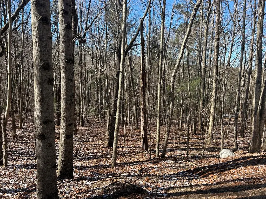 Lot 16 Deer Run Road, Blairsville, GA 30512 - Image #1