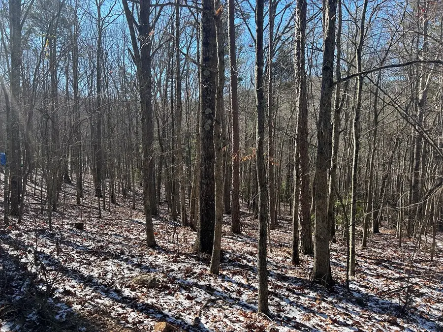Lot 16 Deer Run Road, Blairsville, GA 30512 - Image #2