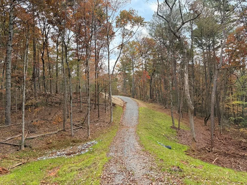 2.72 ac Lower Tails Creek Road, Ellijay, GA 30540 - Image #1
