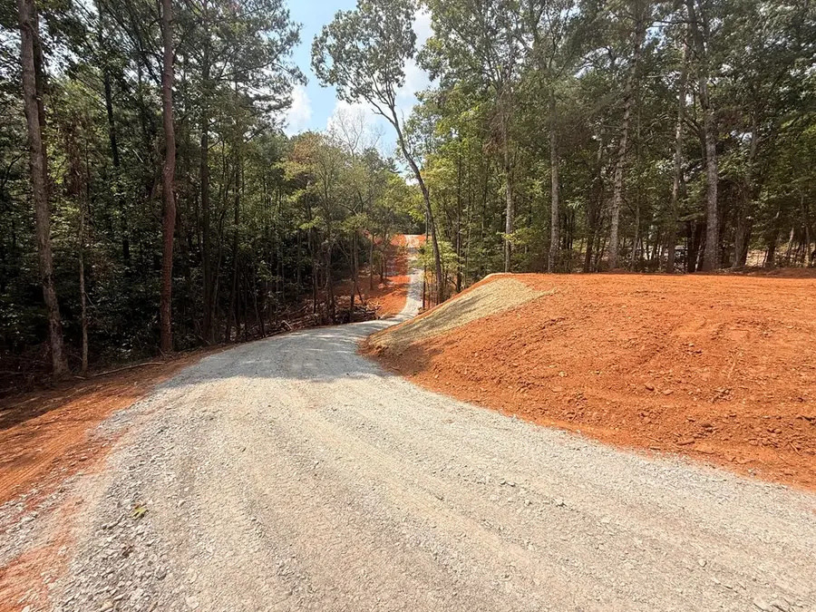 2.72 ac Lower Tails Creek Road, Ellijay, GA 30540 - Image #3