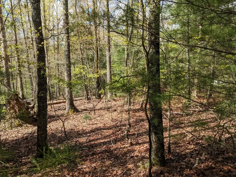 Lot 7 Caddis Trail, Sweetwater, NC 29804 - Image #2
