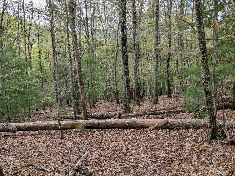 Lot 7 Caddis Trail, Sweetwater, NC 29804 - Image #3