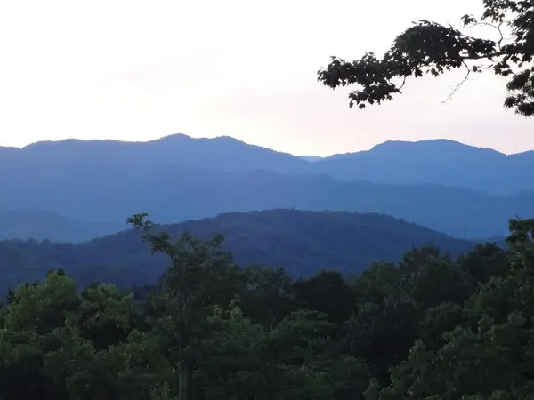 247 Rice Lane, Marble, NC 28905