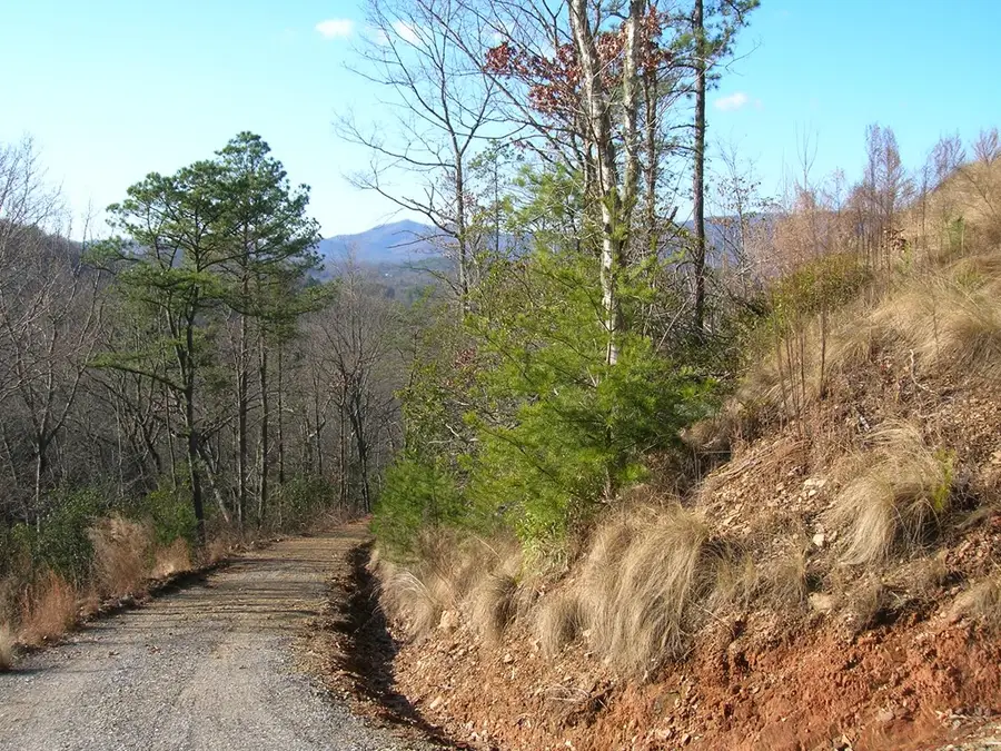 247 Rice Lane, Marble, NC 28905 - Image #3