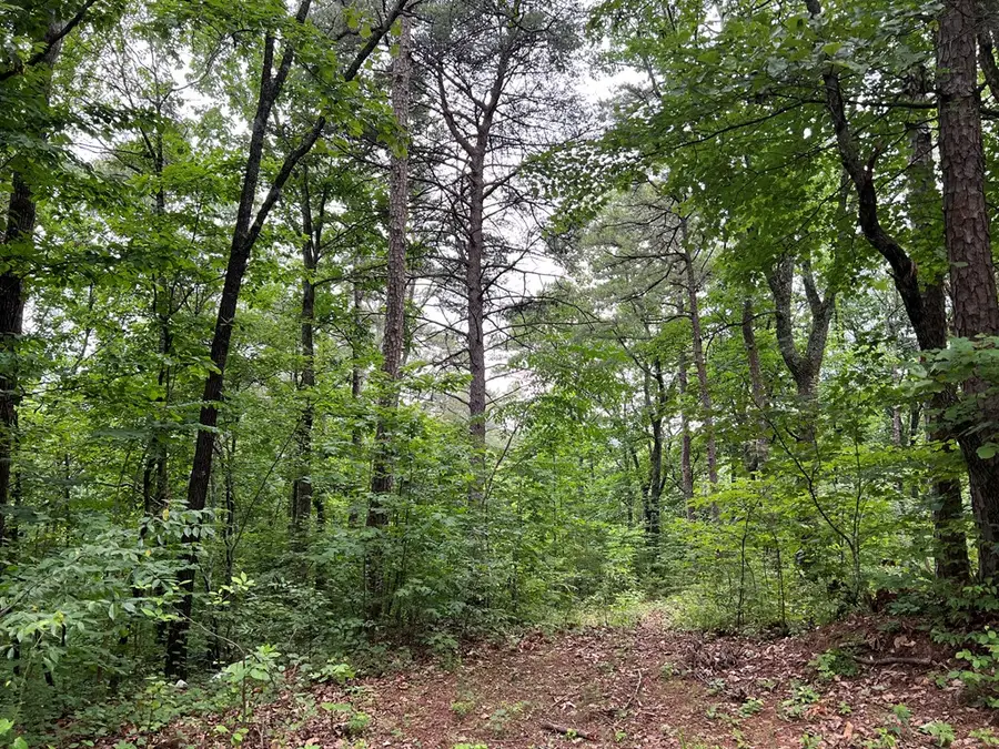 198 Log Round Mountain Trail, Ellijay, GA 30540 - Image #3