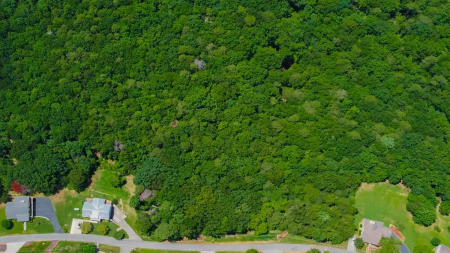 Lot 34 Talona Mountain Road, Ellijay, GA 30536 - #3