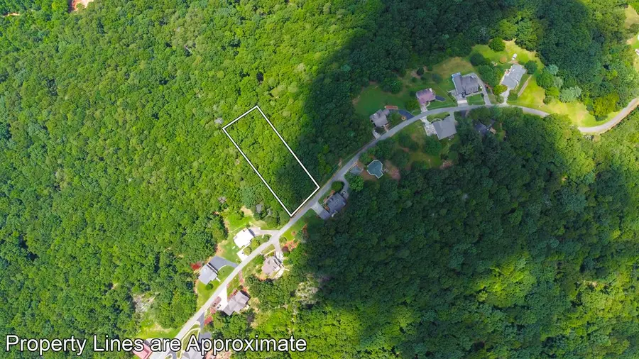 Lot 36 Talona Mountain Road, Ellijay, GA 30536 - #3