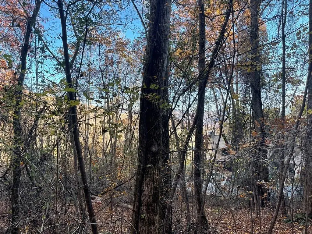 Lot 51J Indian Trail, Hayesville, NC 28904 - Image #1