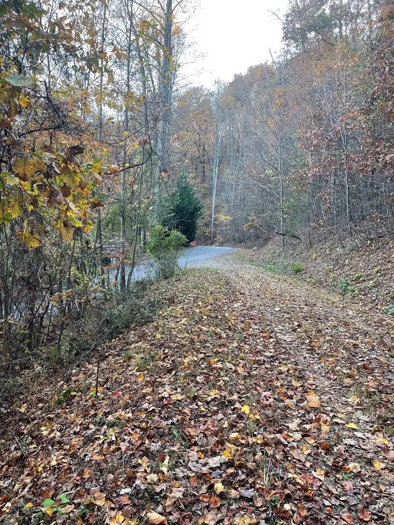 Lot 51J Indian Trail, Hayesville, NC 28904 - Image #2