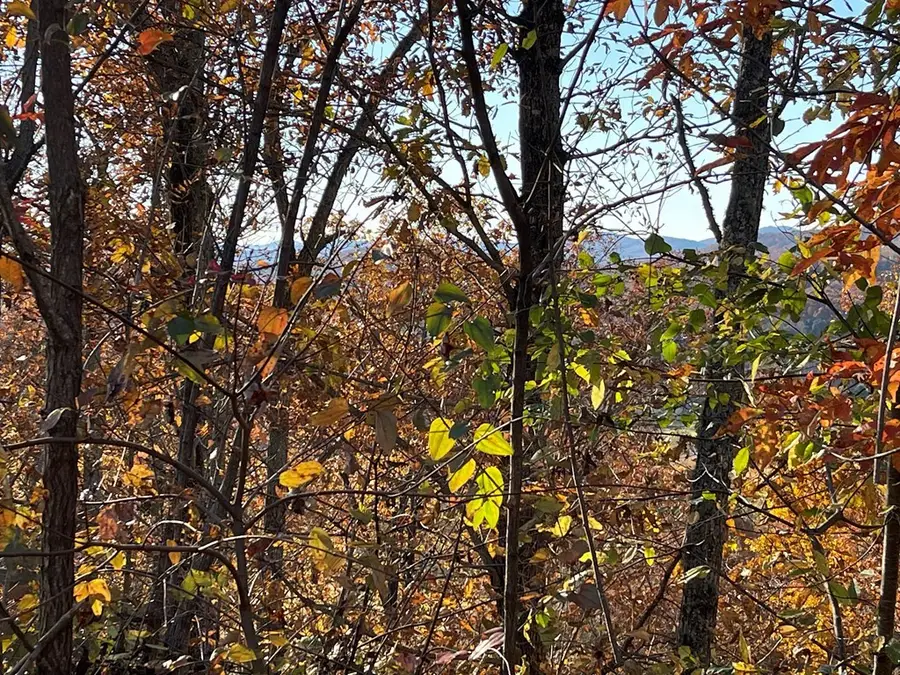 Lot 37M Ridges Overlook, Hayesville, NC 28904 - Image #2