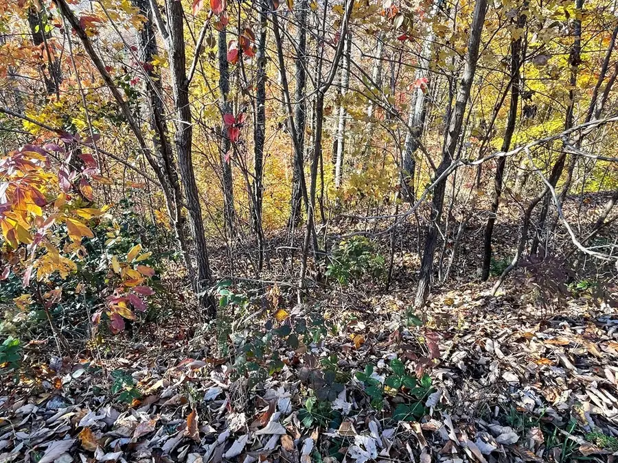 Lot 37M Ridges Overlook, Hayesville, NC 28904 - Image #3