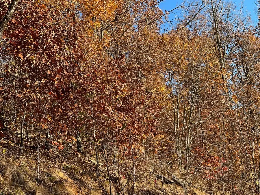 Lot 58M Ridges Overlook, Hayesville, NC 28904 - Image #3