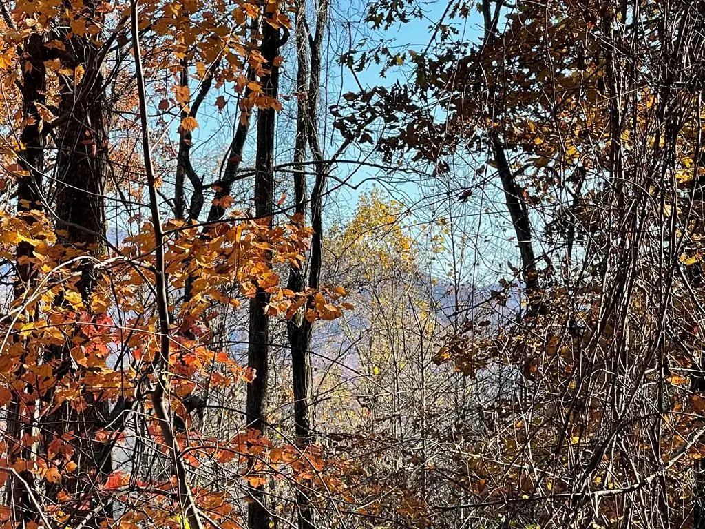 36 54C Ash Branch Circle, Hayesville, NC 28904 - Image #1