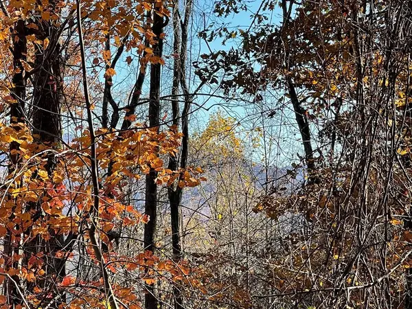 36 54C Ash Branch Circle, Hayesville, NC 28904