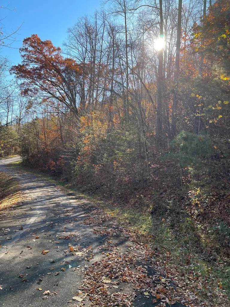 36 54C Ash Branch Circle, Hayesville, NC 28904 - Image #2