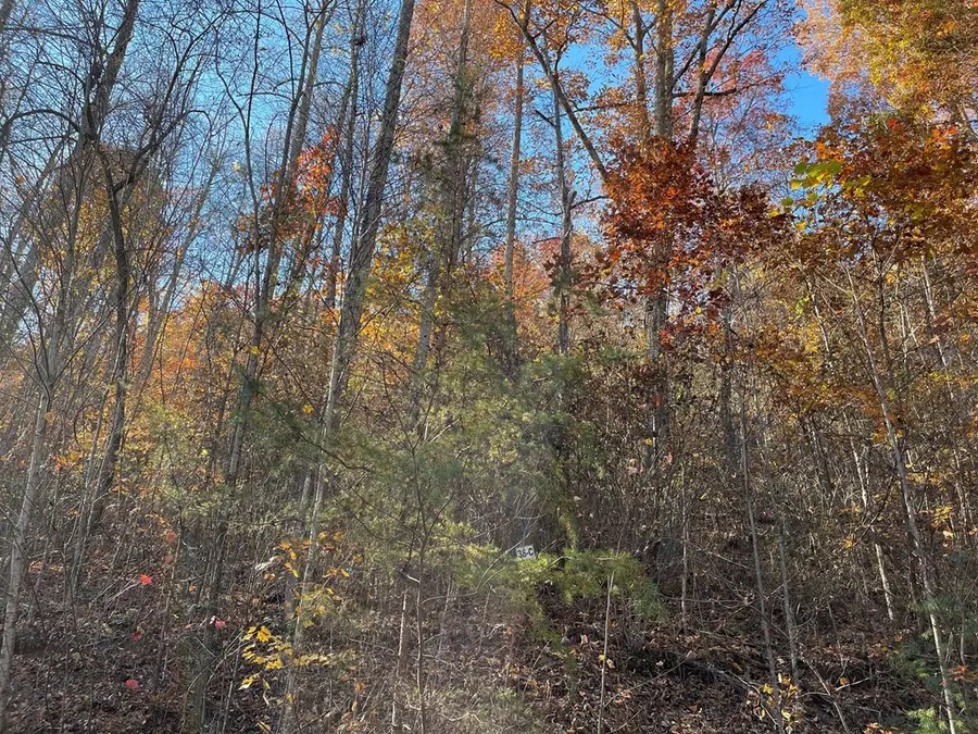 36 54C Ash Branch Circle, Hayesville, NC 28904 - Image #3