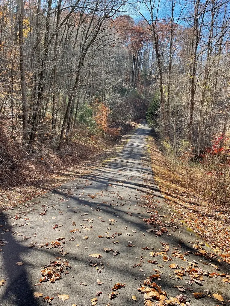 TBD Ashe Knob Drive, Hayesville, NC 28904 - #2