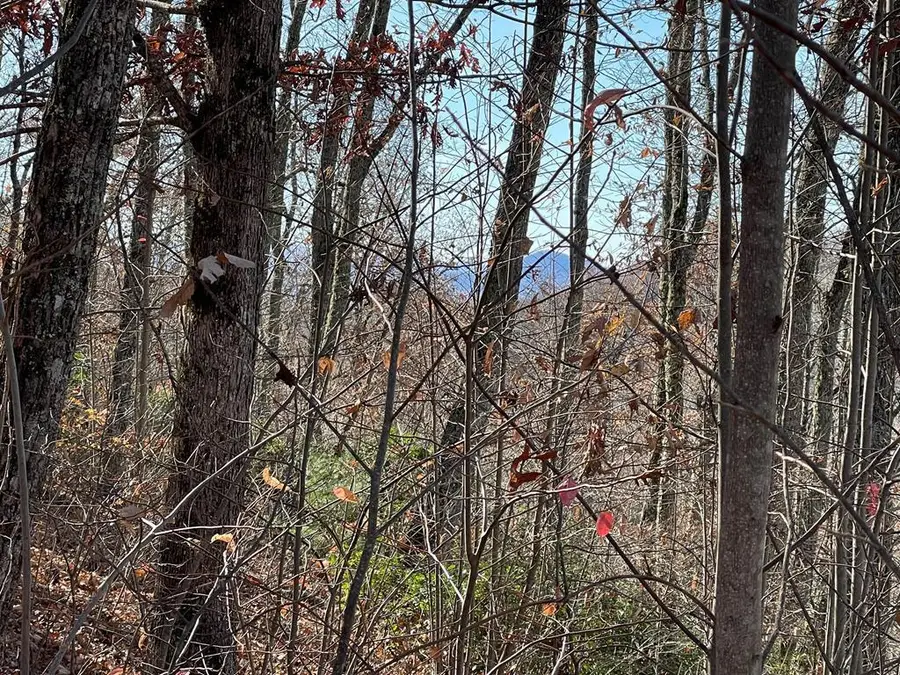 TBD Ashe Branch View, Hayesville, NC 28904 - #2