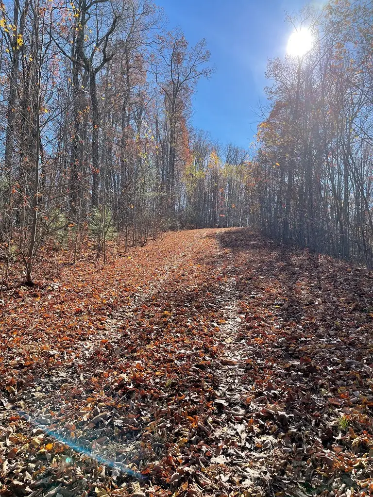 TBD Ashe Branch View, Hayesville, NC 28904 - #3