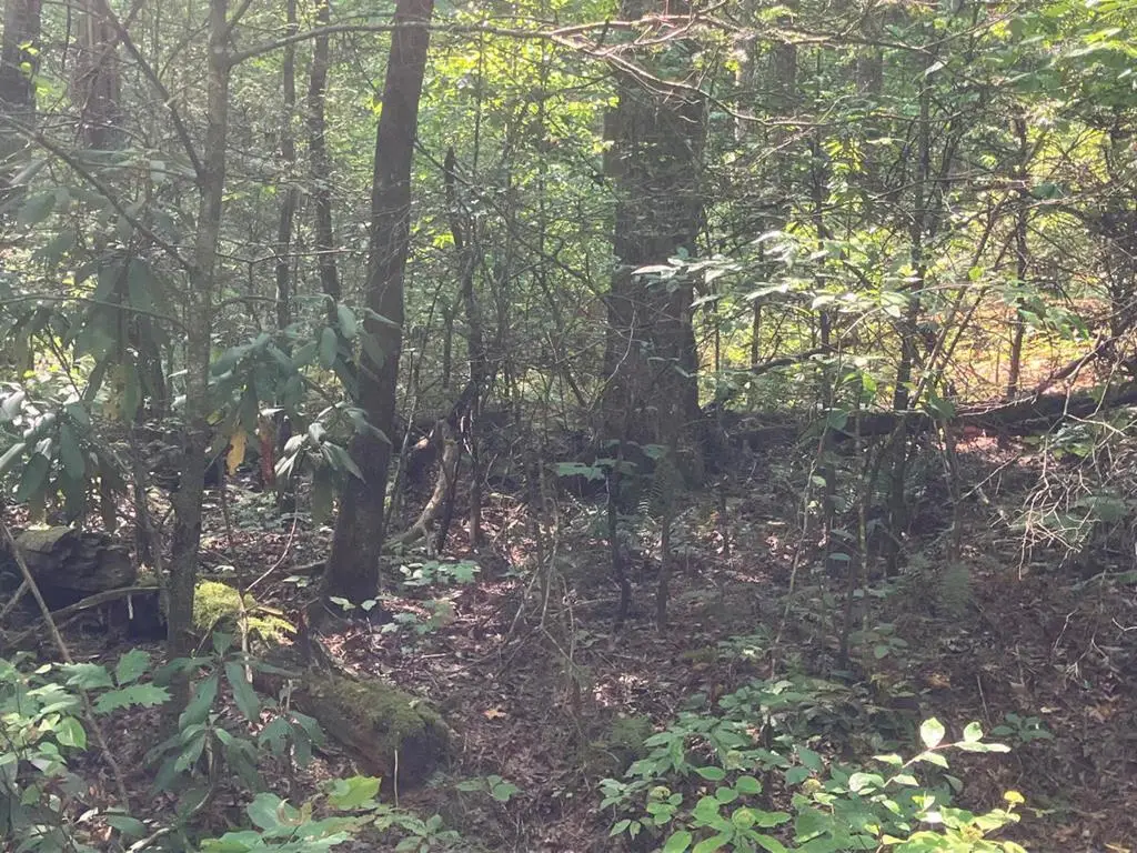 2001 Copper Creek Road, Murphy, NC 28906 - Image #1