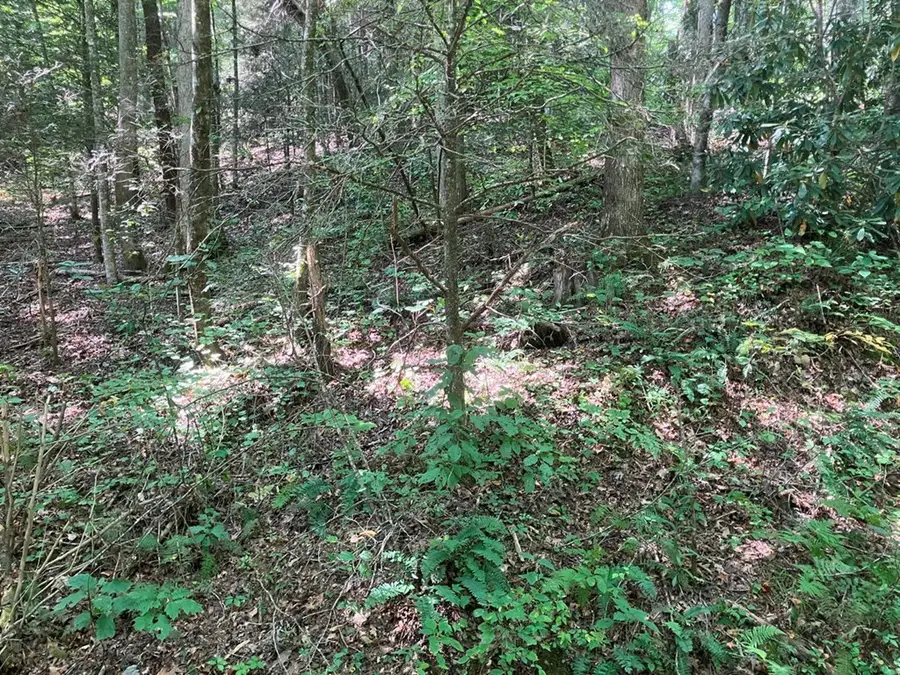 2001 Copper Creek Road, Murphy, NC 28906 - Image #2