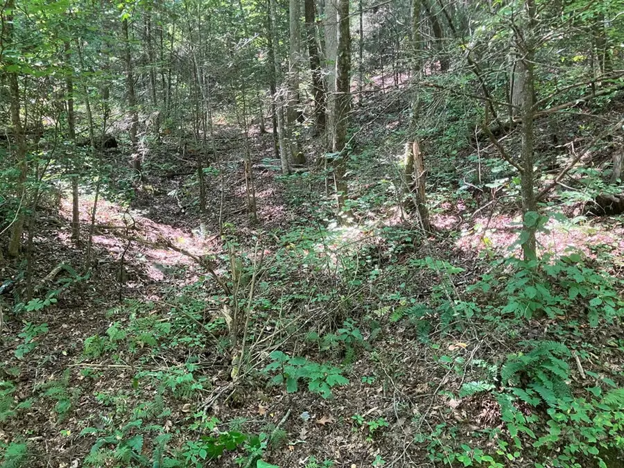 2001 Copper Creek Road, Murphy, NC 28906 - Image #3