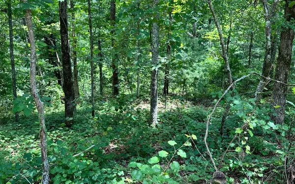 LT 1719 Rebekah Ridge Road, Talking Rock, GA 30175