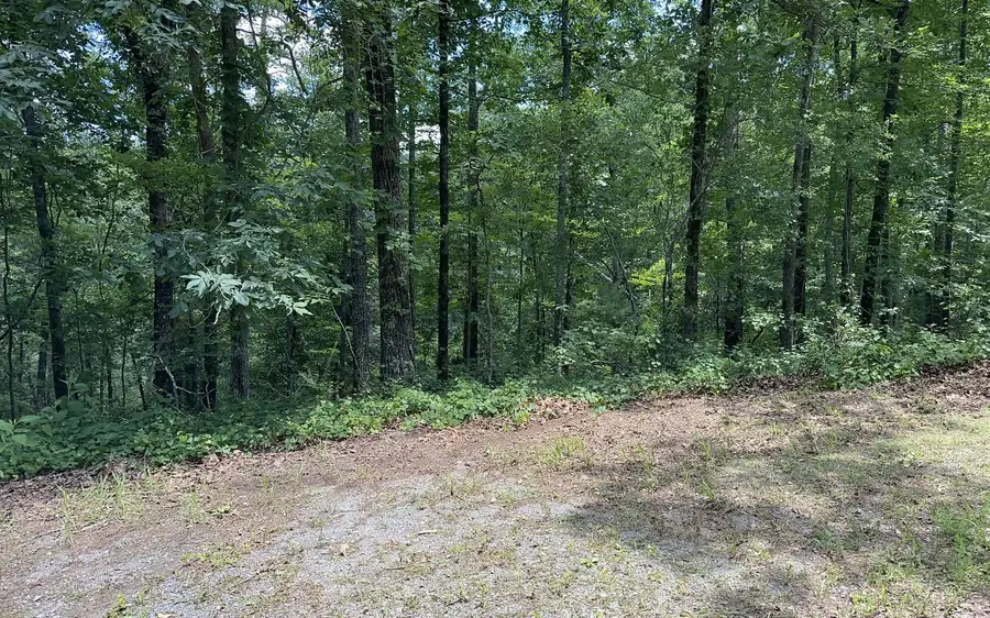 LT 1719 Rebekah Ridge Road, Talking Rock, GA 30175 - Image #2
