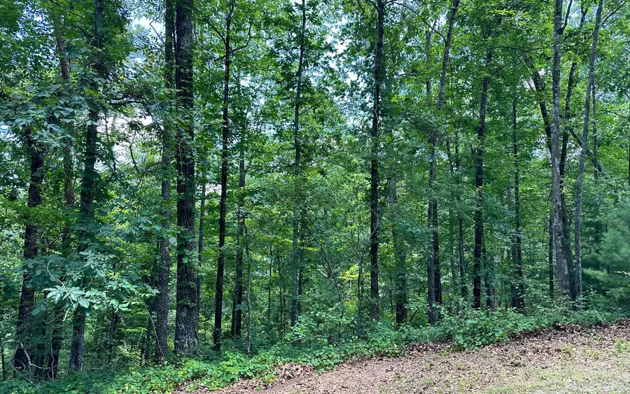LT 1719 Rebekah Ridge Road, Talking Rock, GA 30175 - Image #3