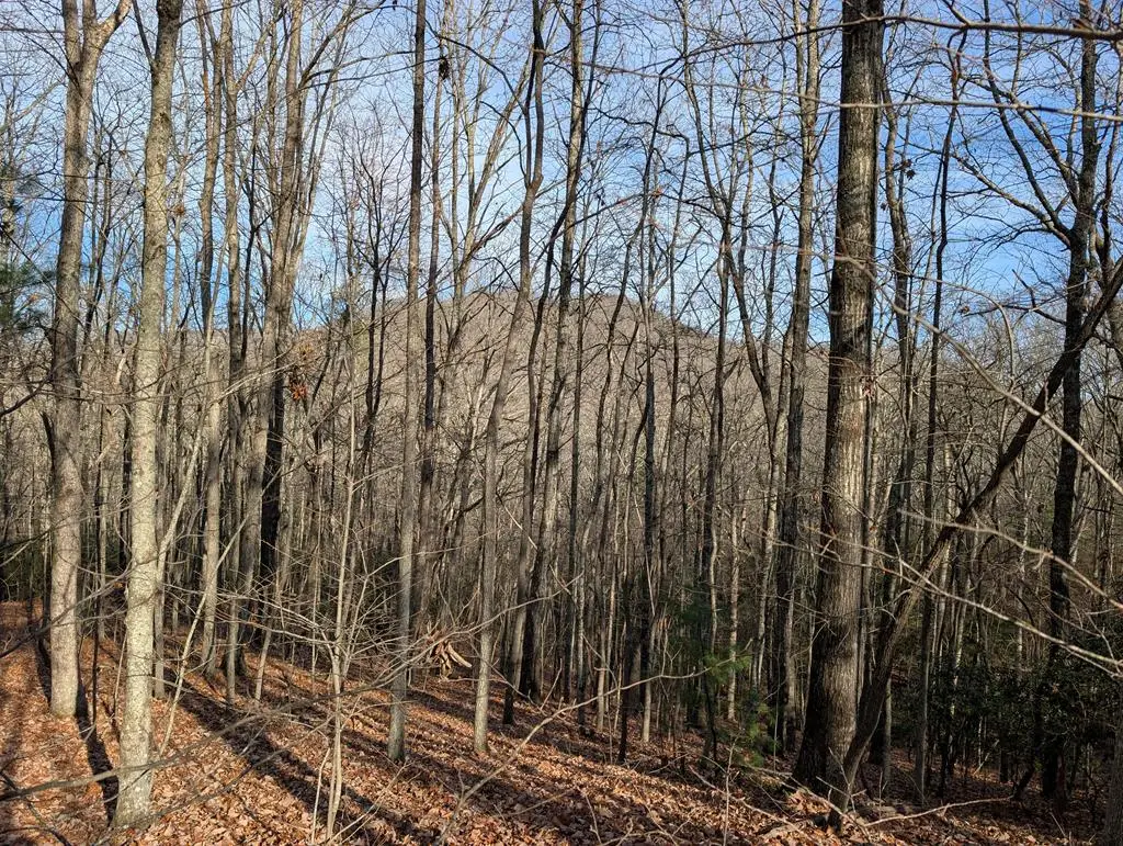 Lot 20 Wilderness Creek Way, Murphy, NC 28906 - Image #1