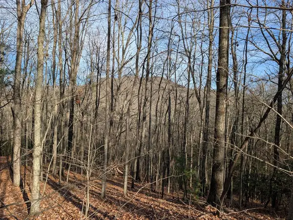 Lot 20 Wilderness Creek Way, Murphy, NC 28906