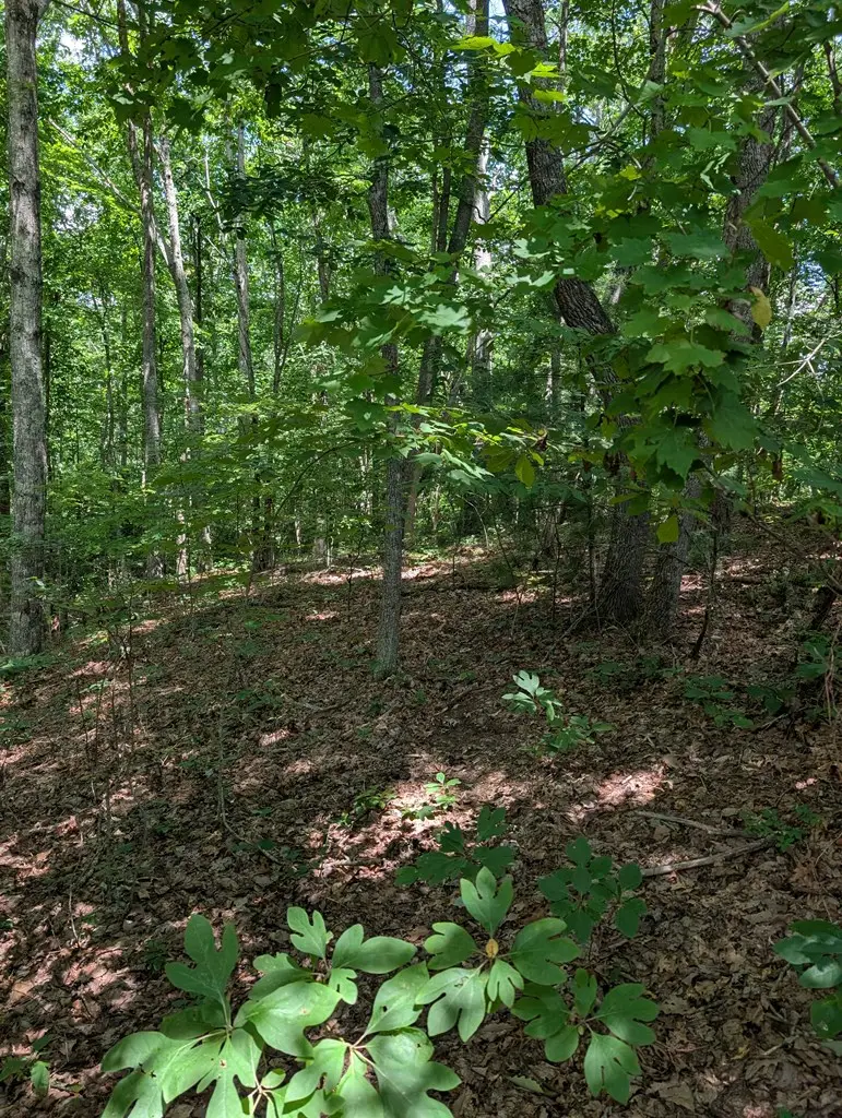 Lot 20 Wilderness Creek Way, Murphy, NC 28906 - Image #3