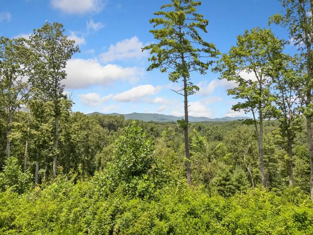 105 River Knoll Trail, Ellijay, GA 30540 - Image #1