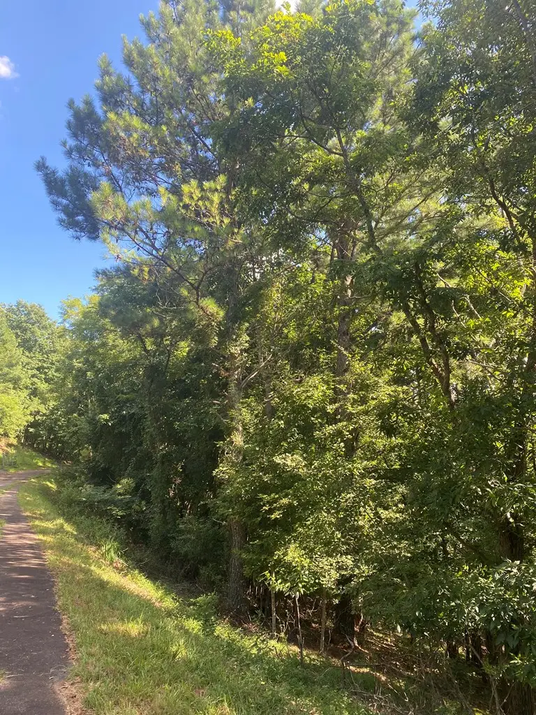 LOT 112 Natalie Lane, Blairsville, GA 30512 - Image #3
