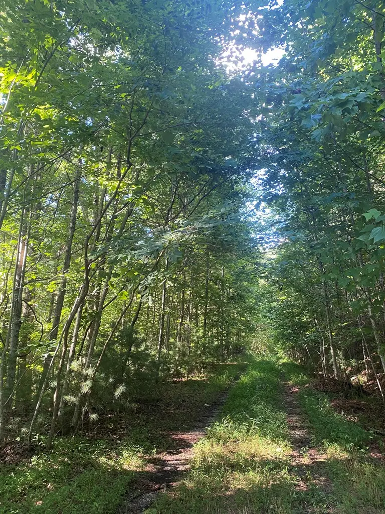 Lot 47 Mountain Top, Blairsville, GA 30512 - #2