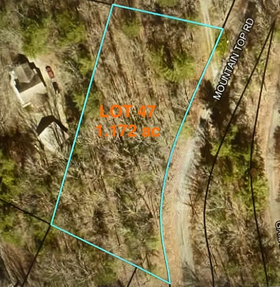 Lot 47 Mountain Top, Blairsville, GA 30512 - #3