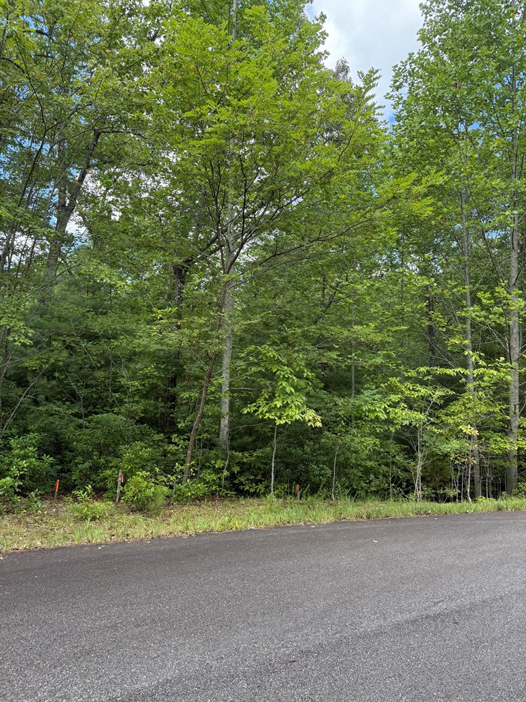 Lot 44 Three Springs Lot 44, Ivylog, GA 30512 - Image #3