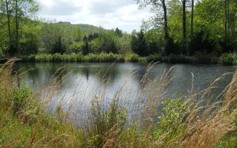 25 Tusquittee Crossing, Hayesville, NC 28904 - Image #1