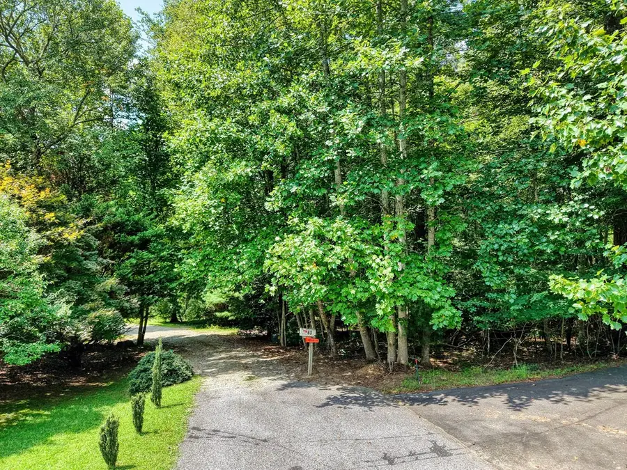 L 10&16 Josie Drive, Blairsville, GA 30512 - #2