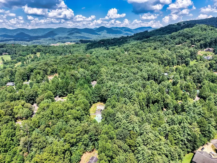 L 10&16 Josie Drive, Blairsville, GA 30512 - #3